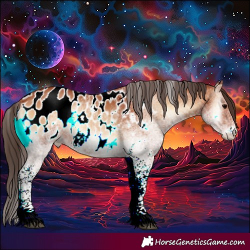 Horse Color:White Spotted Bay Onyx Near Leopard