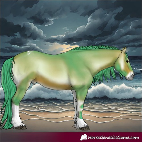 Horse Color:Watercolor Bay Onyx Tobiano