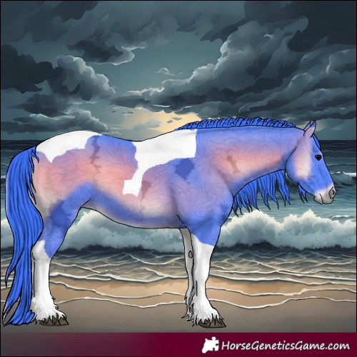 Horse Color:Watercolor Blue Onyx Ice Tobiano