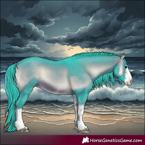 Horse Color:Watercolor White Spotted Brown Onyx