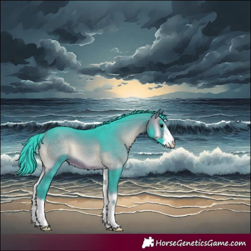 Horse Color:Watercolor White Spotted Brown Onyx 