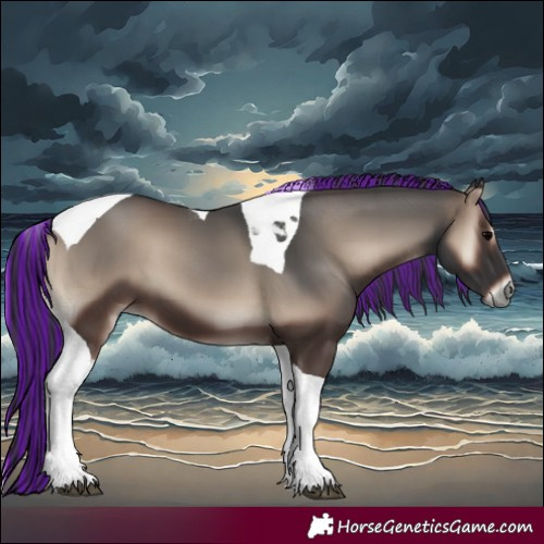 Horse Color:Painted Blue Onyx Tobiano