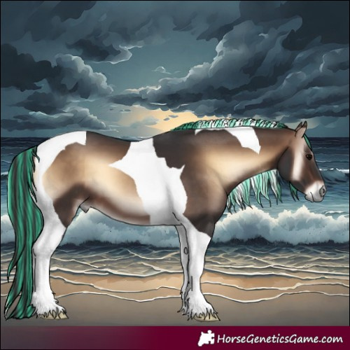 Horse Color:Painted Brown Onyx Tobiano 