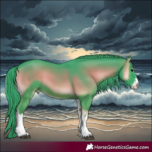 Horse Color:Watercolor White Spotted Blue Onyx