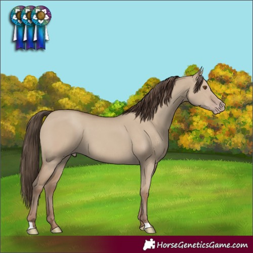 Horse Color:Classic Champagne Dun 