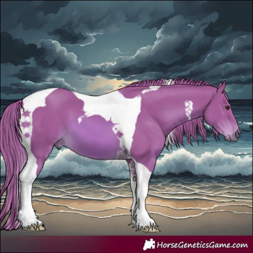 Horse Color:Watercolor Chestnut Tobiano