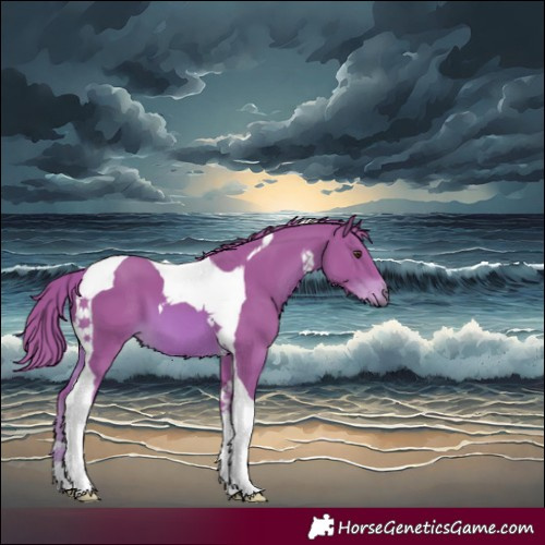 Horse Color:Watercolor Chestnut Tobiano