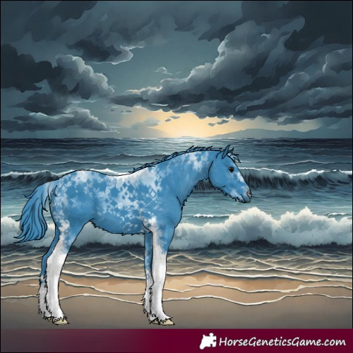 Horse Color:Watercolor Black Tobiano 