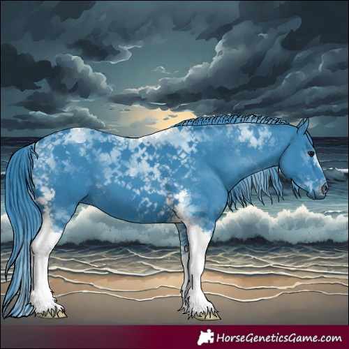 Horse Color:Watercolor Black Tobiano 