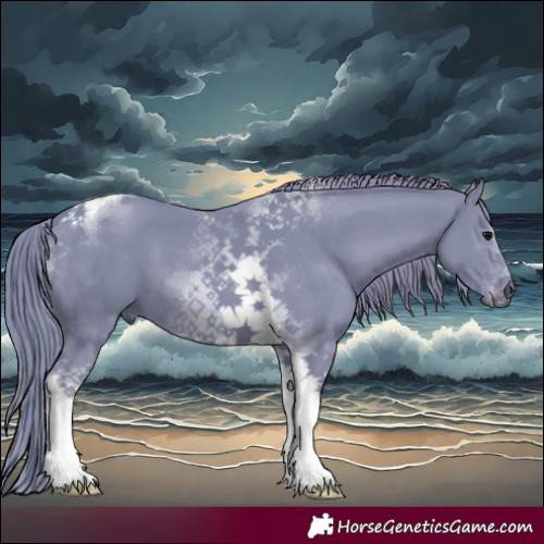 Horse Color:Watercolor Black Tobiano