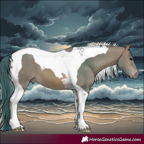 Horse Color:Watercolor Bay Tobiano 