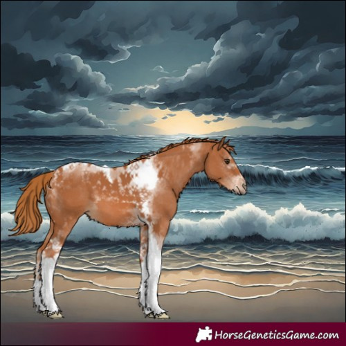 Horse Color:Chestnut Tobiano 
