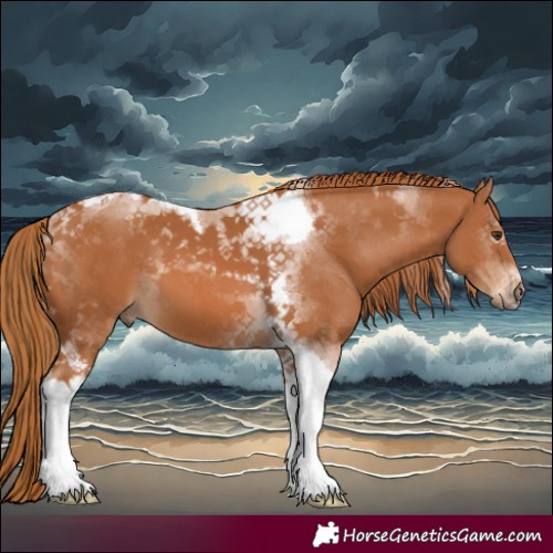 Horse Color:Chestnut Tobiano 