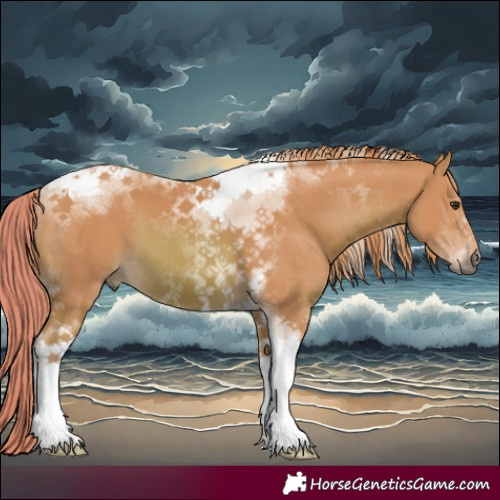 Horse Color:Watercolor Chestnut Tobiano 