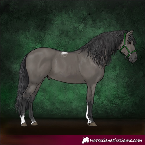 Horse Color:Grullo Tobiano