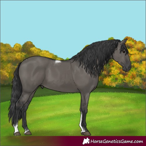 Horse Color:Grullo Tobiano 
