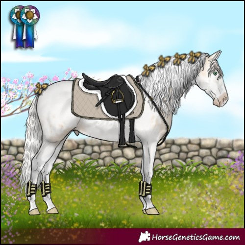 Horse Color:Silver Classic Champagne Dun Splash Tobiano Frame Appaloosa