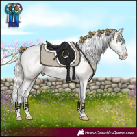 Horse Color:Silver Classic Champagne Dun Splash Tobiano Frame Appaloosa 
