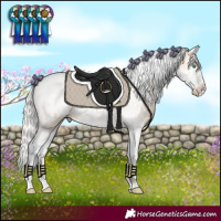 Horse Color:Silver Classic Champagne Dun Splash Tobiano Frame Blanket 