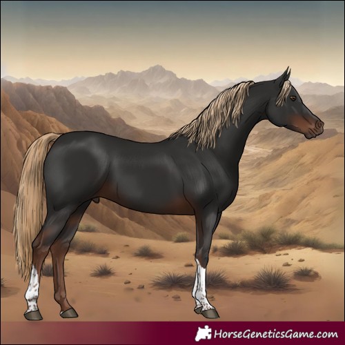 Horse Color:Liver Chestnut Tobiano 