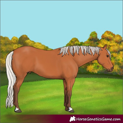 Horse Color:Silver Bay