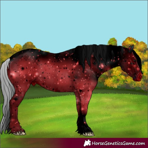 Horse Color:ERROR: UNKNOWN ANOMALY