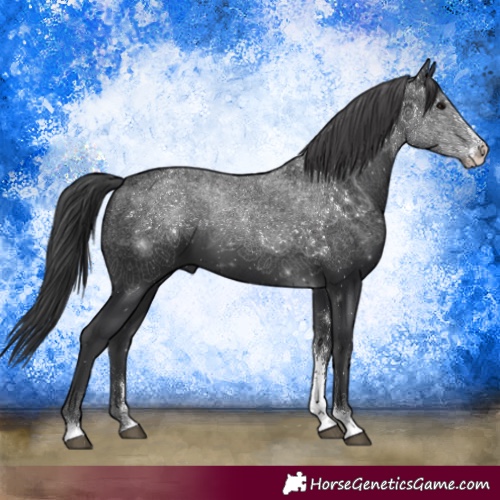 Horse Color:Black Sabino