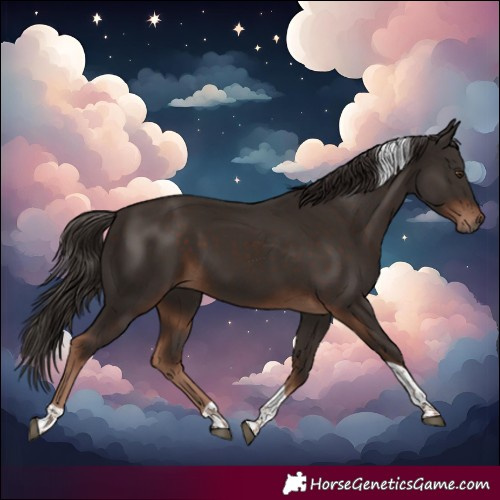 Horse Color:Liver Chestnut Tobiano