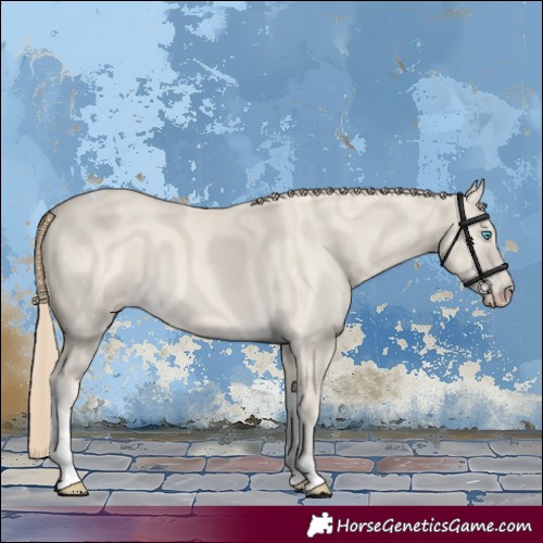 Horse Color:Smoky Creme Dun Tobiano 