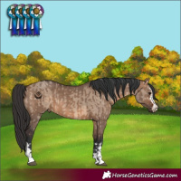 Horse Color:Brown Dun  and Brown Dun 