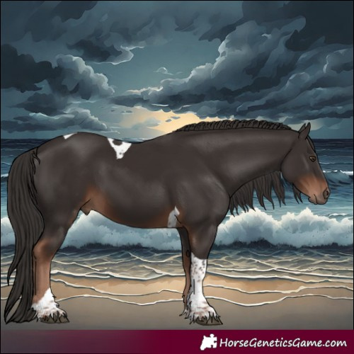 Horse Color:Liver Chestnut Tobiano 