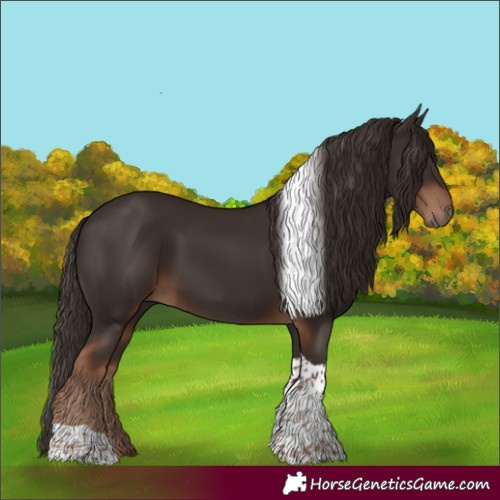 Horse Color:Liver Chestnut Tobiano 