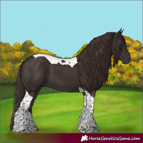 Horse Color:Liver Chestnut Tobiano 