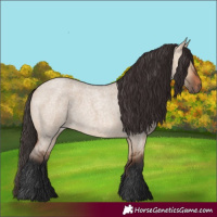Horse Color:Bay Roan Dun 