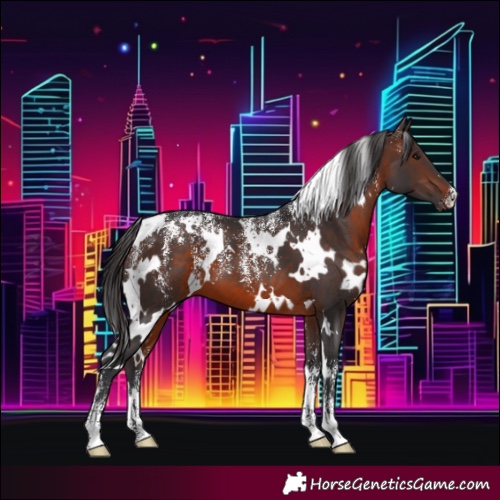 Horse Color:Powder White White Spotted Brown