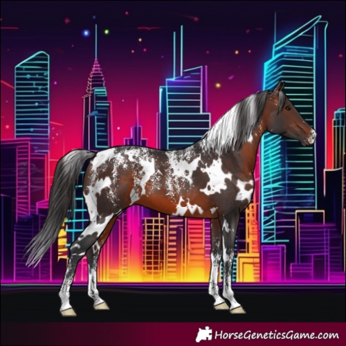 Horse Color:Powder White White Spotted Brown 