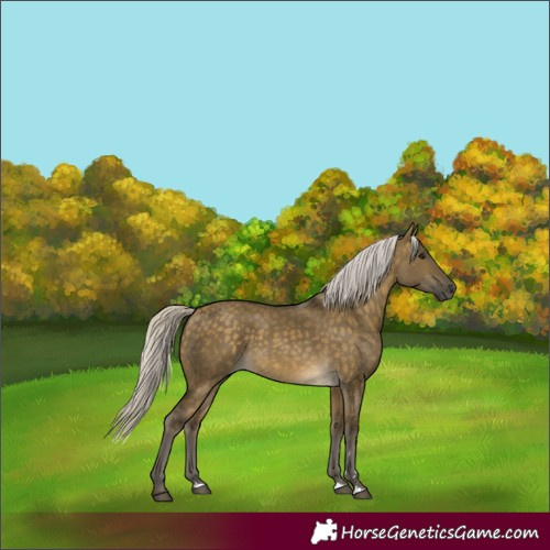 Horse Color:Silver Buckskin Dun