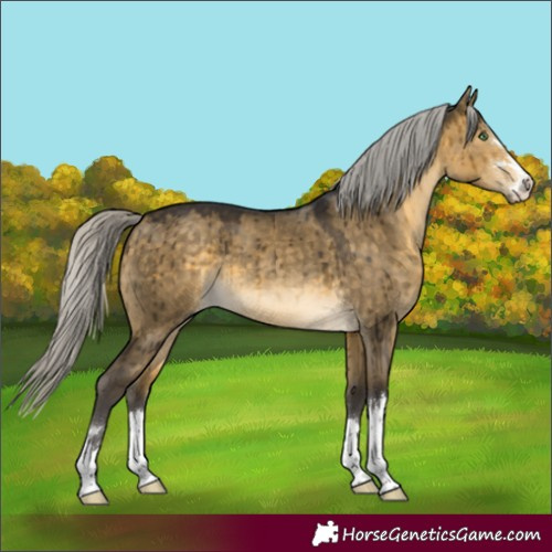 Horse Color:Silver Buckskin Dun Brindle 