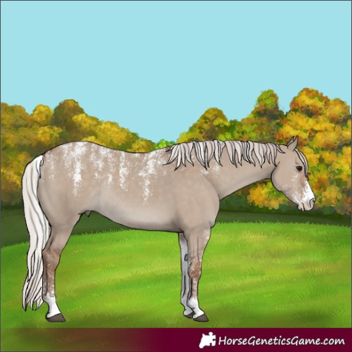 Horse Color:Powder White Silver Grullo Rabicano 