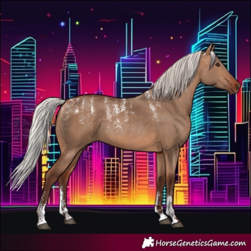 Horse Color:Powder White Silver Bay Dun Rabicano 