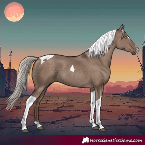 Horse Color:Silver Grullo Tobiano 
