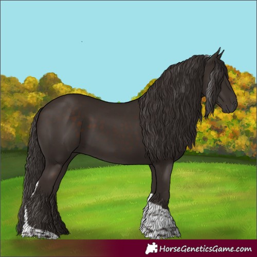 Horse Color:Liver Chestnut Tobiano 