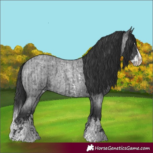 Horse Color:Blue Roan Sabino Splash  and Blue Roan Sabino Splash 
