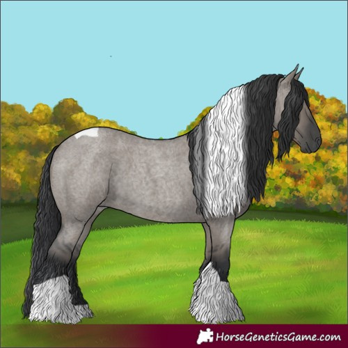 Horse Color:Grullo Roan Tobiano 