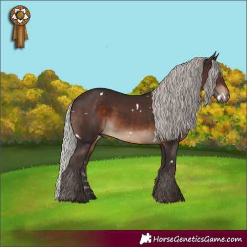 Horse Color:White Spotted Silver Brown 