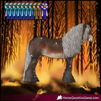 Horse Color:White Spotted Silver Brown 