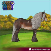 Horse Color:White Spotted Silver Brown