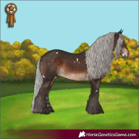 Horse Color:White Spotted Silver Brown