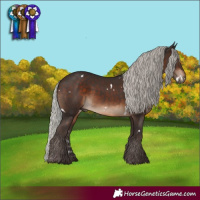 Horse Color:White Spotted Silver Brown