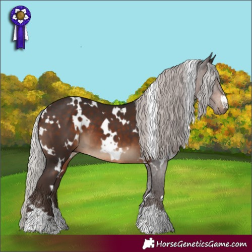 Horse Color:White Spotted Silver Brown 